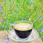 Article Looking for a natural alternative to coffee ?