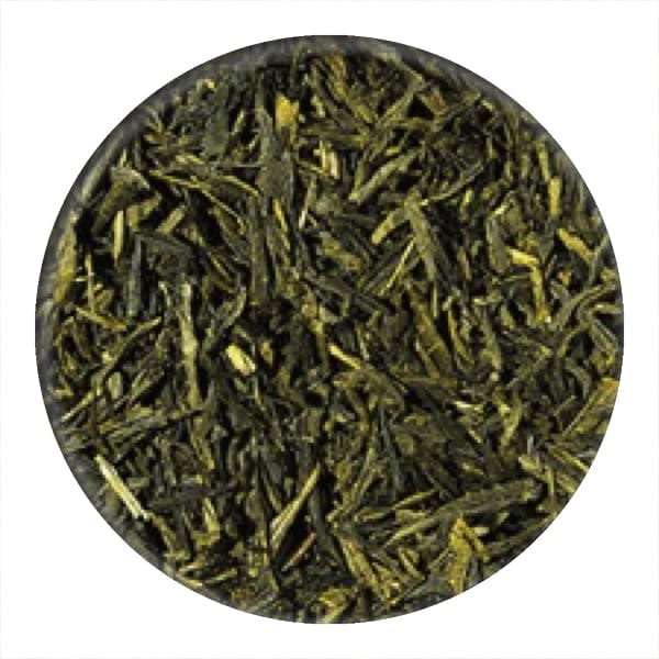 Sencha Green Vanilla