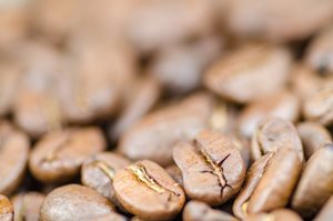 Colombian Medellin Excelso