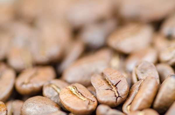Colombian Medellin Excelso