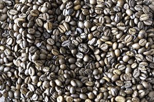 Rich Java Brown